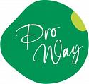 Поставщик ProWay