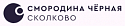 Поставщик Чёрная Смородина Сколково