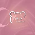 Поставщик Ted Turkey group-Поставщик турецких товаров
